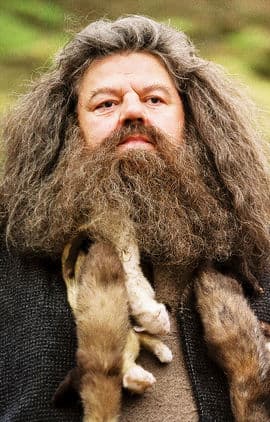 Rubeus Hagrid